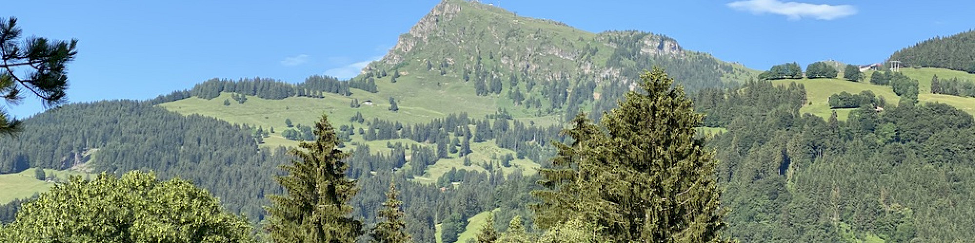 Buy a house in Kitzbühel with Christian Krassnigg real estate